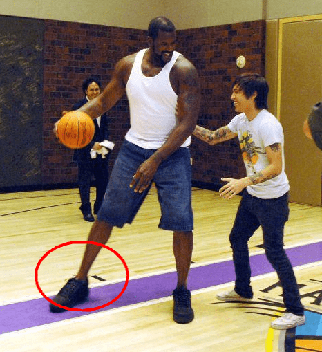 科特迪瓦主帅：我们一直在关注博尼，目前也正在和他谈征召（科特迪瓦主帅：持续关注博尼，正与其商谈征召）